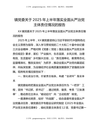 镇党委关于2025年上半年落实全面从严治党主体责任情况的报告（2）