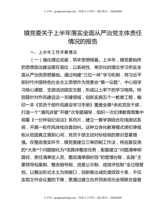 镇党委关于上半年落实全面从严治党主体责任情况的报告