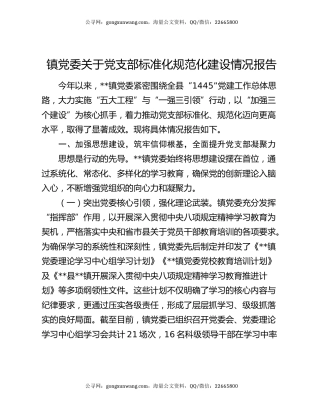 镇党委关于党支部标准化规范化建设情况报告