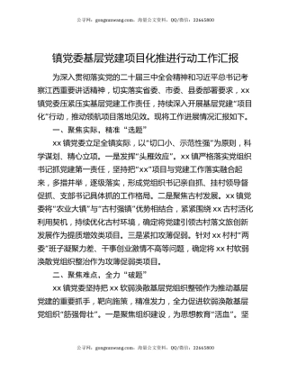 镇党委基层党建项目化推进行动工作汇报
