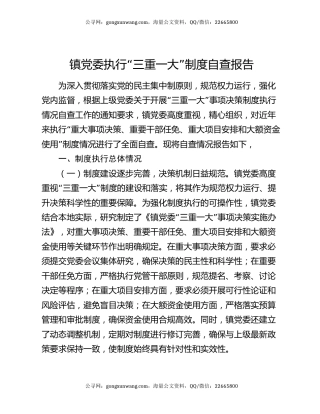 镇党委执行“三重一大”制度自查报告