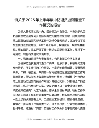 镇关于2025年上半年集中防返贫监测排查工作情况的报告