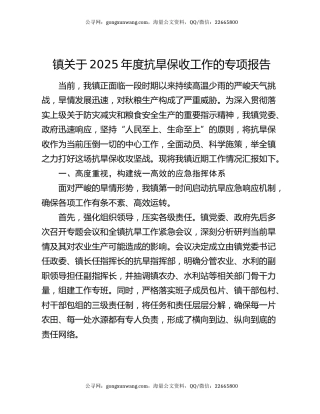 镇关于2025年度抗旱保收工作的专项报告