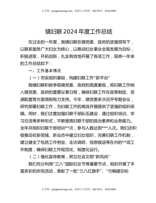镇妇联2024年度工作总结