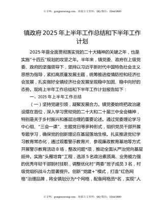 镇政府2025年上半年工作总结和下半年工作计划