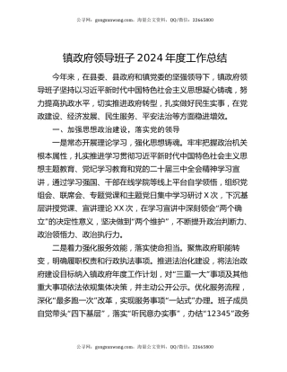 镇政府领导班子2024年度工作总结
