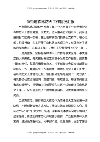 镇街道森林防火工作情况汇报
