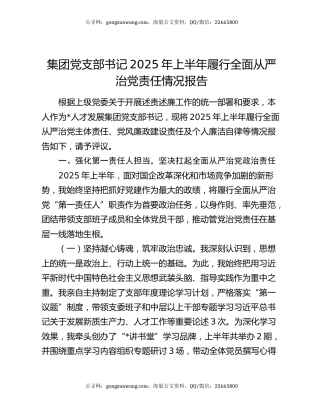 集团党支部书记2025年上半年履行全面从严治党责任情况报告
