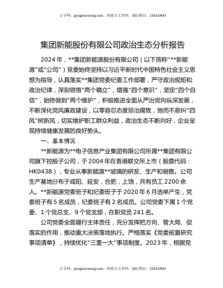 集团新能股份有限公司政治生态分析报告