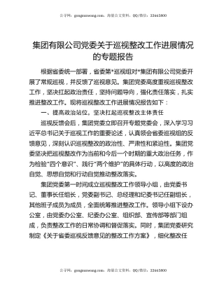 集团有限公司党委关于巡视整改工作进展情况的专题报告
