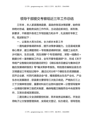 领导干部提交考察组近三年工作总结