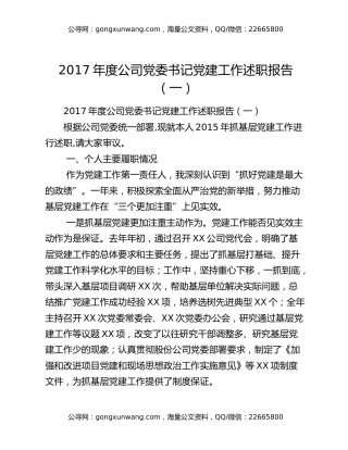 2017年度公司党委书记党建工作述职报告（一）