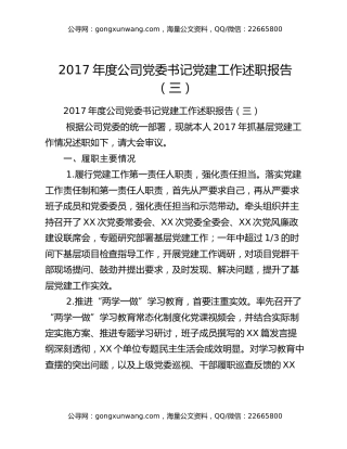 2017年度公司党委书记党建工作述职报告（三）