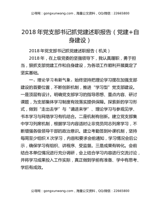 2018年党支部书记抓党建述职报告（党建+自身建设）