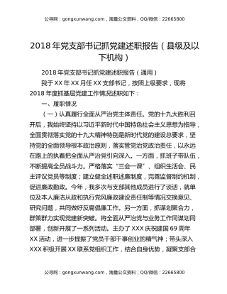 2018年党支部书记抓党建述职报告（县级及以下机构）