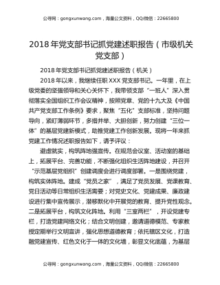 2018年党支部书记抓党建述职报告（市级机关党支部）