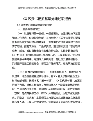 XX区委书记抓基层党建述职报告