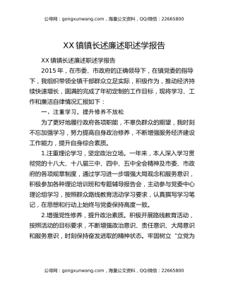 XX镇镇长述廉述职述学报告
