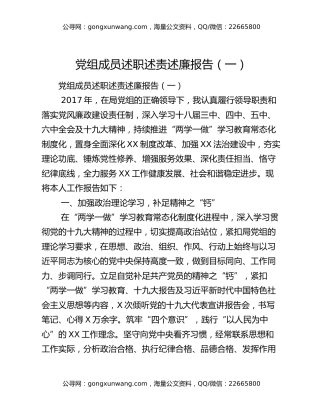 党组成员述职述责述廉报告（一）