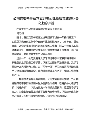 公司党委领导在党支部书记抓基层党建述职会议上的讲话