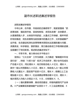 副市长述职述廉述学报告