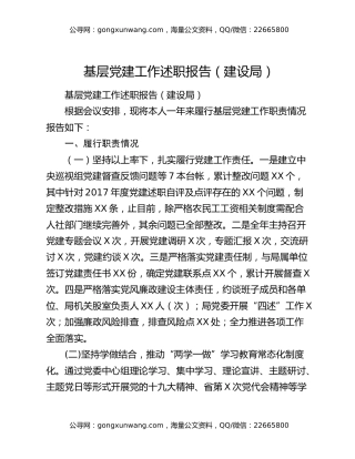 基层党建工作述职报告（建设局）