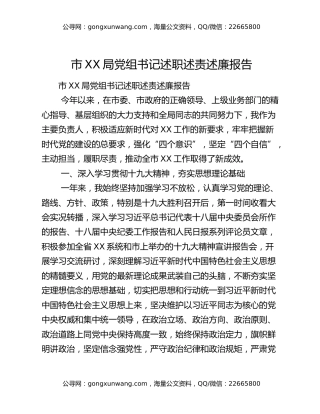 市XX局党组书记述职述责述廉报告