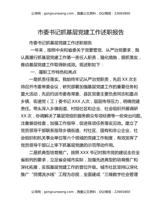 市委书记抓基层党建工作述职报告