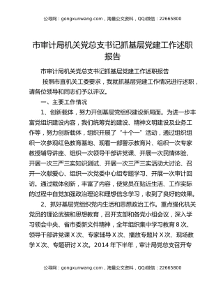 市审计局机关党总支书记抓基层党建工作述职报告