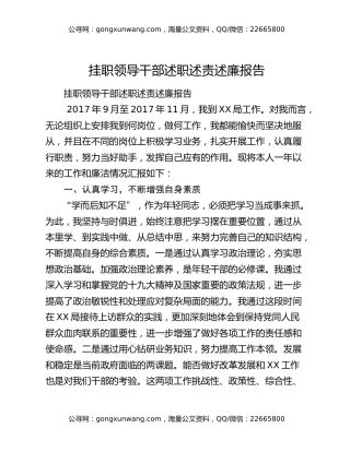 挂职领导干部述职述责述廉报告