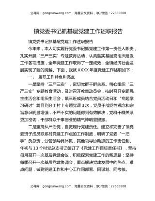 镇党委书记抓基层党建工作述职报告