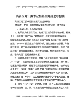 高新区党工委书记抓基层党建述职报告