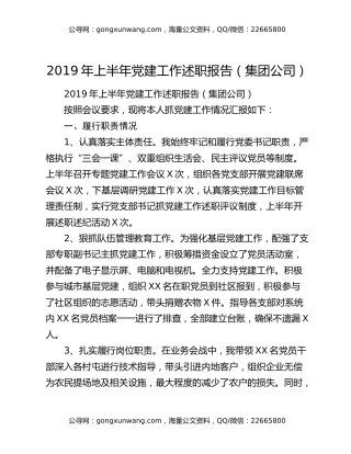 2019年上半年党建工作述职报告（集团公司）