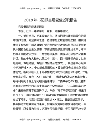 2019年书记抓基层党建述职报告（2）