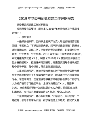 2019年党委书记抓党建工作述职报告