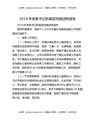 2019年党委书记抓基层党建述职报告
