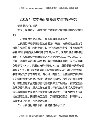 2019年党委书记抓基层党建述职报告（2）