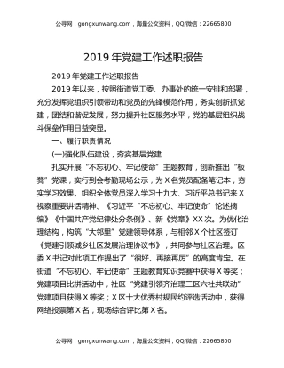 2019年党建工作述职报告（5）