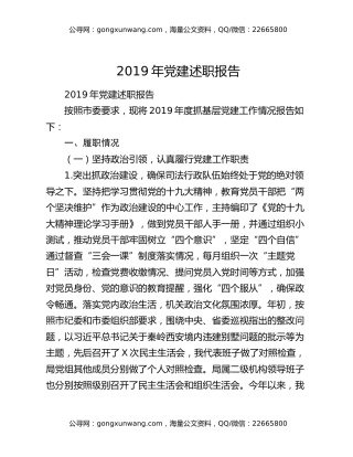 2019年党建述职报告