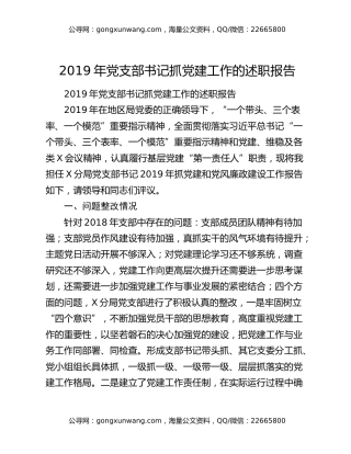 2019年党支部书记抓党建工作的述职报告