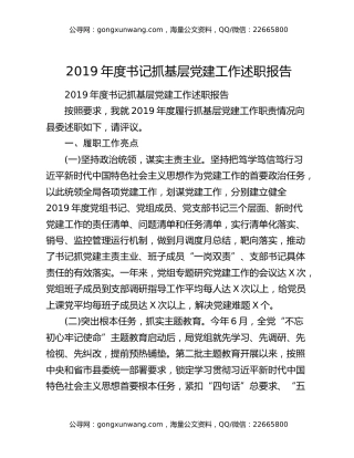2019年度书记抓基层党建工作述职报告