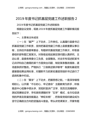 2019年度书记抓基层党建工作述职报告2