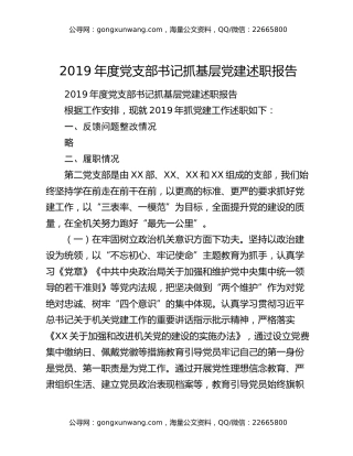 2019年度党支部书记抓基层党建述职报告