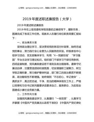 2019年度述职述廉报告（大学）
