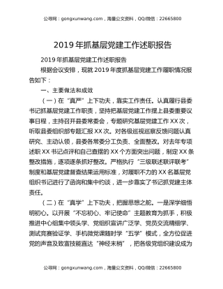 2019年抓基层党建工作述职报告（3）