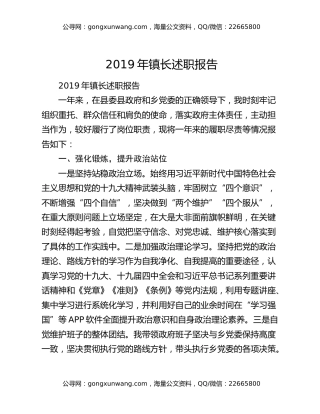 2019年镇长述职报告
