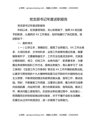 党支部书记年度述职报告