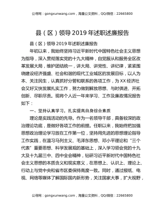 县（区）领导2019年述职述廉报告