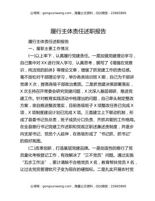 履行主体责任述职报告