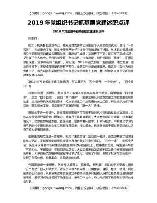 2019年党组织书记抓基层党建述职点评